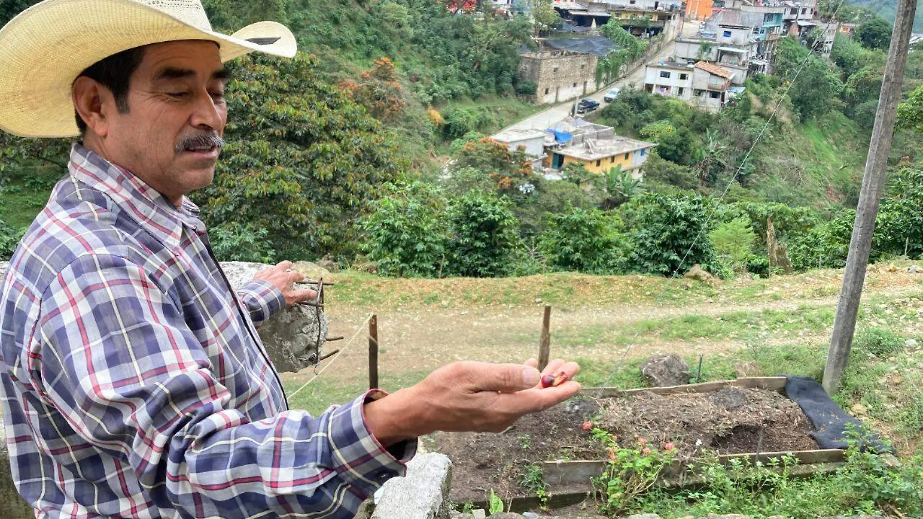 cafe producido en puebla